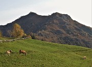 MONTE GIOCO (1366 m) colorato d鈥檃tunno, da Spettino di S. Pellegrino Terme la mattina del 25 ottobre 2020 - FOTOGALLERY